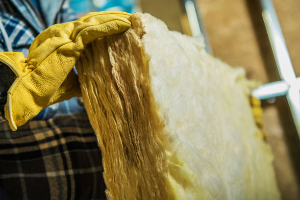 Best Residential Insulation in Waverly, MI