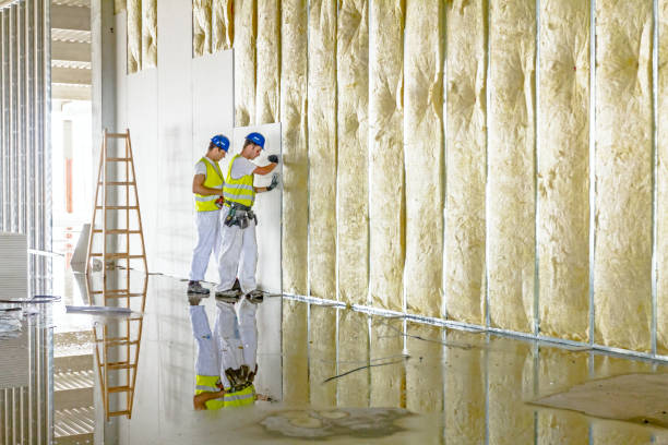 Best Spray Foam Insulation in Waverly, MI